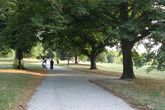Prospect-park_s165x110