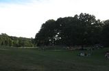 Prospect-park_s159