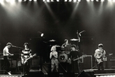 Blondie_s165x110