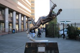 Td-garden_s165x110