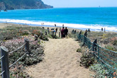 Baker-beach_s165x110