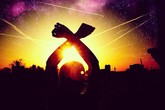 Excision_s165x110