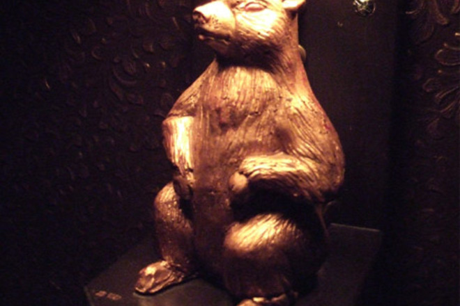 Photo of Golden Gopher
