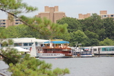 East-potomac-park_s165x110