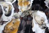 Oysterpalooza! - Food & Drink Event | Music Festival in San Francisco.