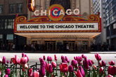 Chicago Theatre - Concert Venue | Theater in Chicago.