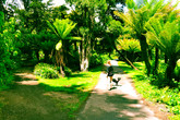 Golden-gate-park_s165x110