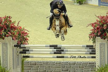 Washington International Horse Show  - Equestrian | Sports in Washington, DC.