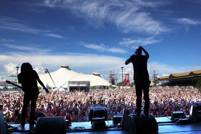 Photo of Infected Mushroom