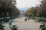 Barcelona_overall_impression_by_emma_s159