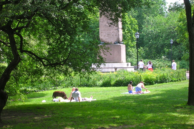 Photo of Central Park