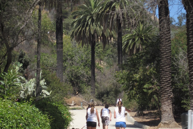Photo of Runyon Canyon