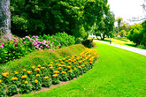Golden-gate-park_s165x110