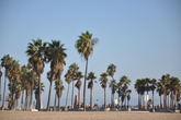 Venice-beach_s165x110