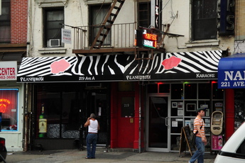 Planet Rose - Karaoke Bar | Lounge in New York.