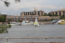 East Potomac Park - Outdoor Activity | Park in Washington, DC.