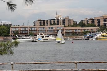East Potomac Park - Outdoor Activity | Park in Washington, DC.