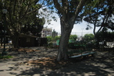 Washington-square_s165x110