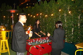 The-biergarten-at-the-standard-downtown_s165x110
