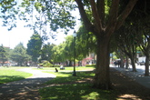 Washington-square_s165x110