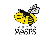 London Wasps