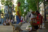 Passeig-del-born_s165x110