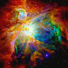 Rome Science Festival - Conference / Convention | Festival in Rome