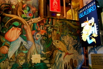 Bluebird - Coffeeshop in Amsterdam.