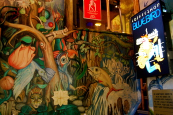 Bluebird - Coffeeshop in Amsterdam.