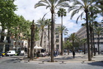 Rambla del Raval - Nightlife Area in Barcelona.