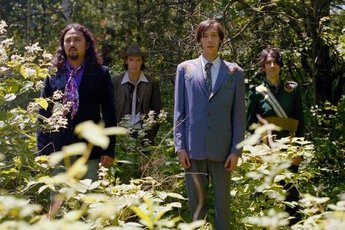 The Sadies