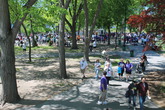 Boston-esplanade_s165x110