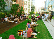 The High Line - Outdoor Activity | Park in New York.