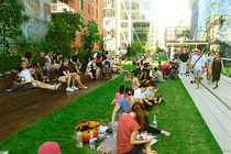 The High Line - Outdoor Activity | Park in New York.