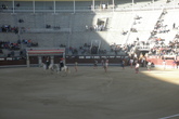 Bullfights-at-las-ventas_s165x110