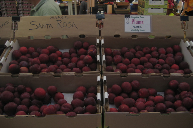 Photo of Ferry Plaza Farmers Market