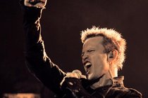 Billy-idol_s210x140