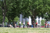 The-national-mall_s165x110