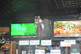 Rhino-bar-and-pumphouse_s165x110