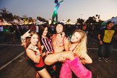Nocturnal-wonderland_s165x110