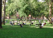 Harvard Square - Landmark | Outdoor Activity | Square in Boston.