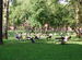 Harvard Square - Landmark | Outdoor Activity | Square in Boston.