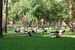 Harvard Square - Landmark | Outdoor Activity | Square in Boston.