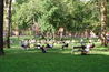 Harvard Square