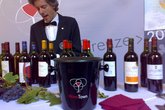 Wine Town - Food & Drink Event | Wine Festival in Florence.