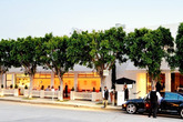 Fig & Olive - Lounge | Mediterranean Restaurant in Los Angeles.