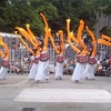 Lunar New Year at the Franklin Park Zoo - Ethnic Festival | Performing Arts in Boston