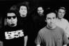 Los Lobos