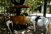 Villa-borghese_s165x110