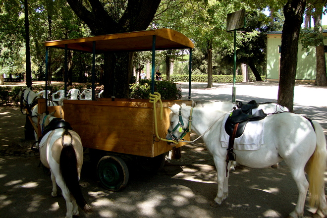 Photo of Villa Borghese